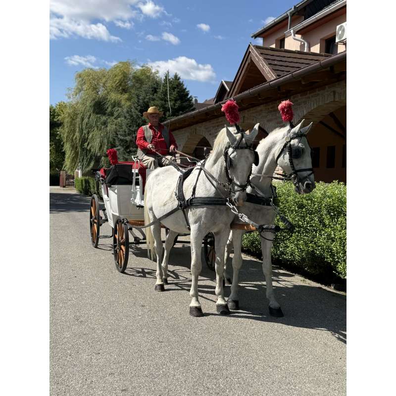 Kincsem Lovaspark Rendezvényhelyszín